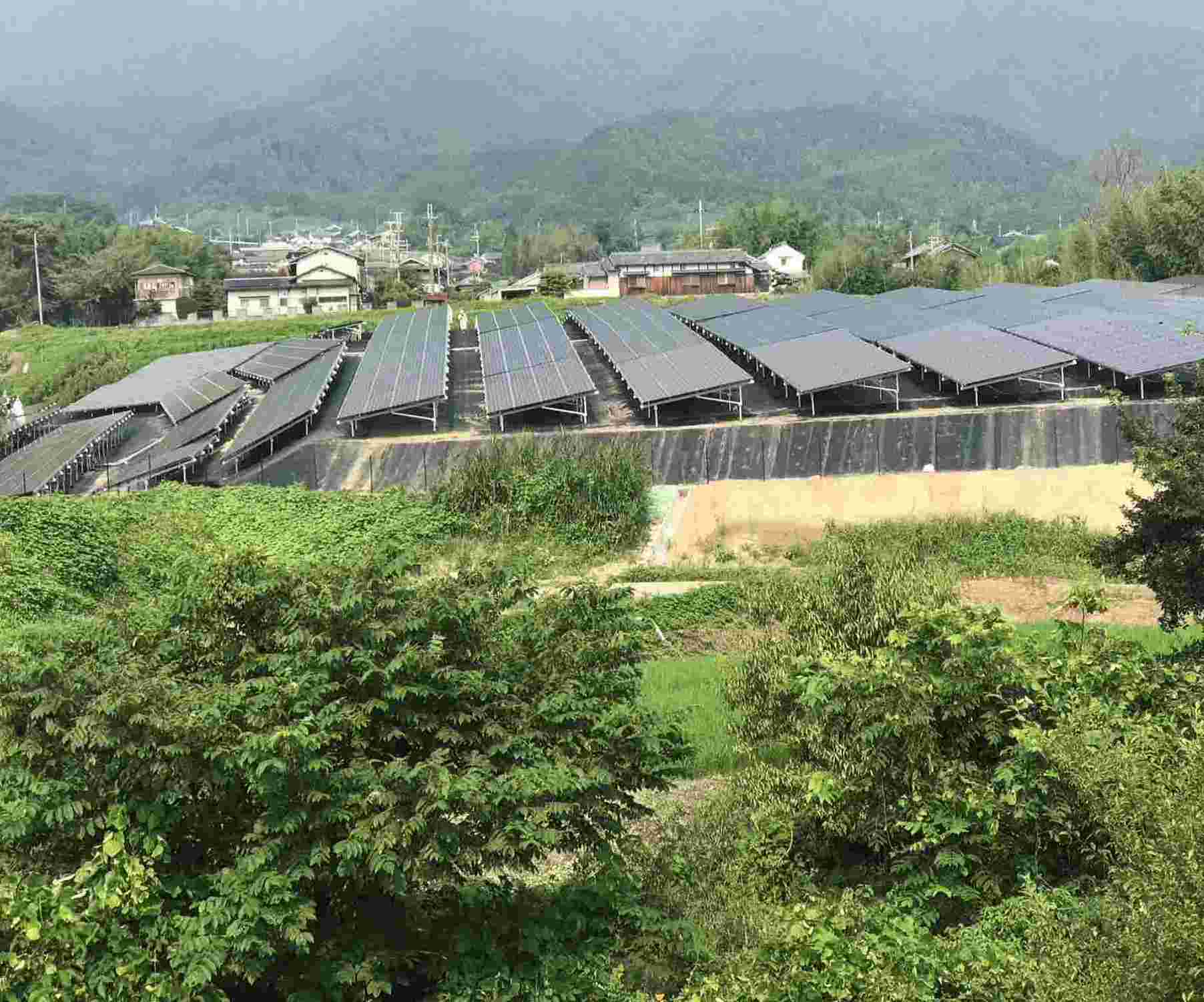 Montaggio fotovoltaico su campi collinari